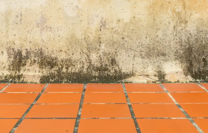 Crumbling Plaster